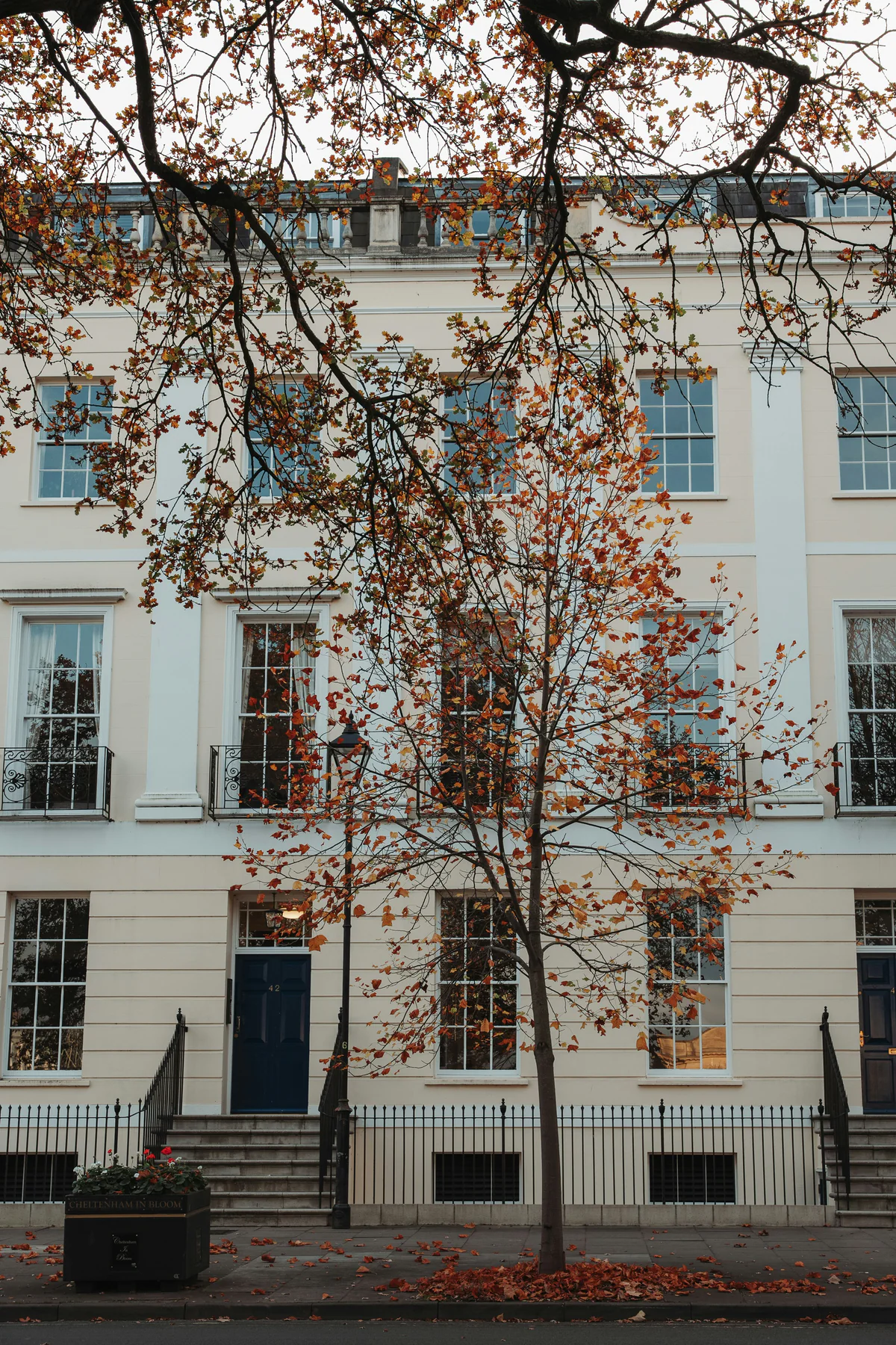 A cream Regency terrace in Cheltenham with iron railings and tall sash windows behind an autumn tree