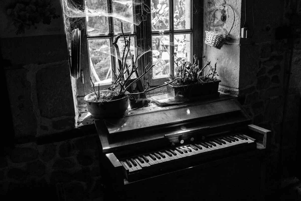 Black and white photo of an old upright piano beneath a cobwebbed cottage window with dried-out pot plants on the sill